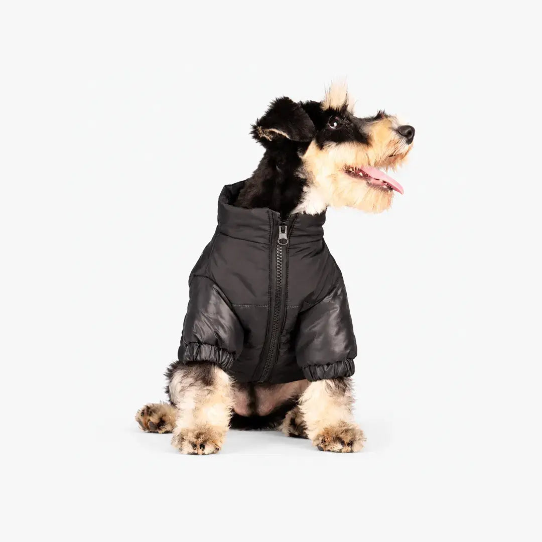 Reflective Dog Coats for Winter - Warm Windproof Jacket for Chihuahua & French Bulldog