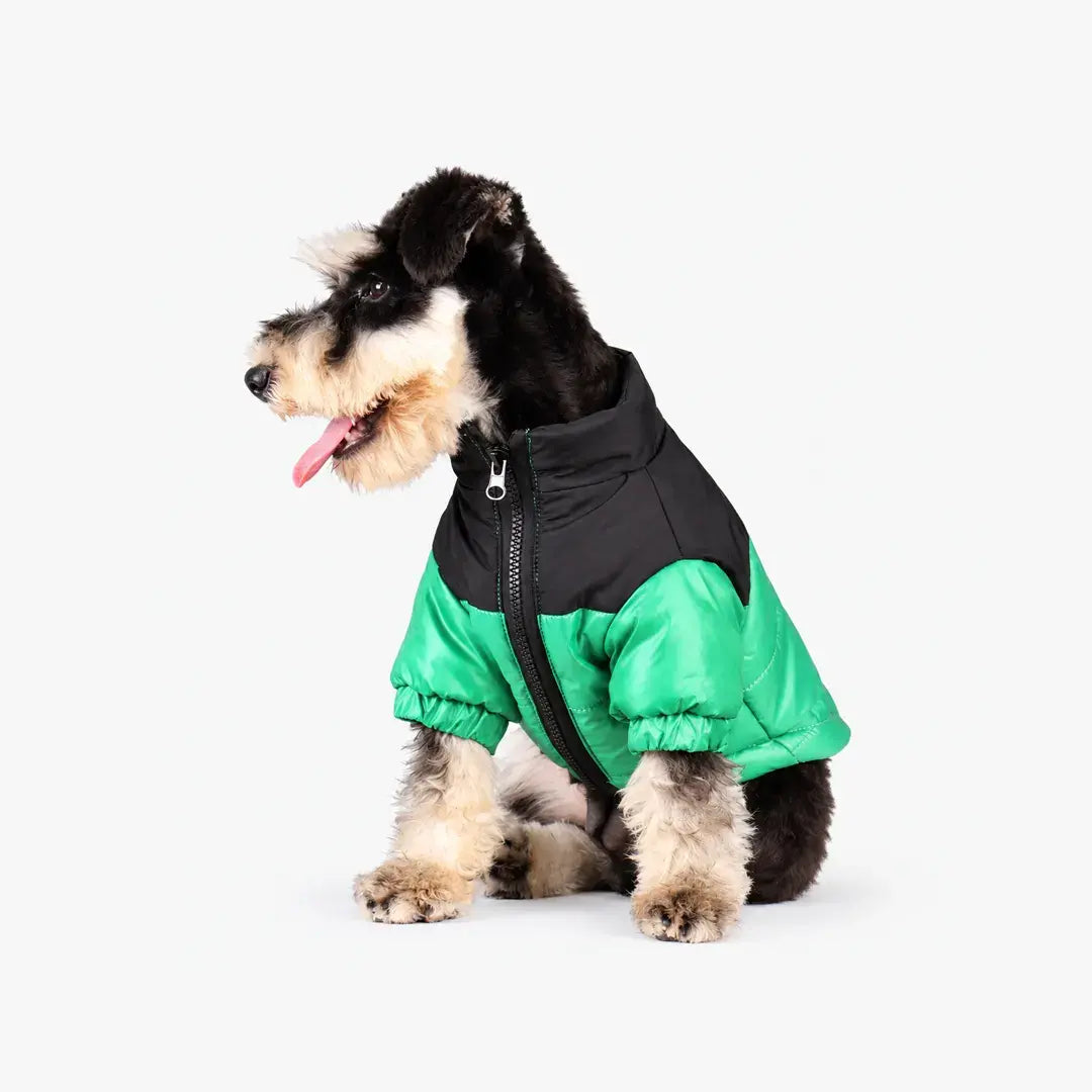 Reflective Dog Coats for Winter - Warm Windproof Jacket for Chihuahua & French Bulldog