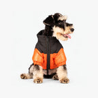 Reflective Dog Coats for Winter - Warm Windproof Jacket for Chihuahua & French Bulldog
