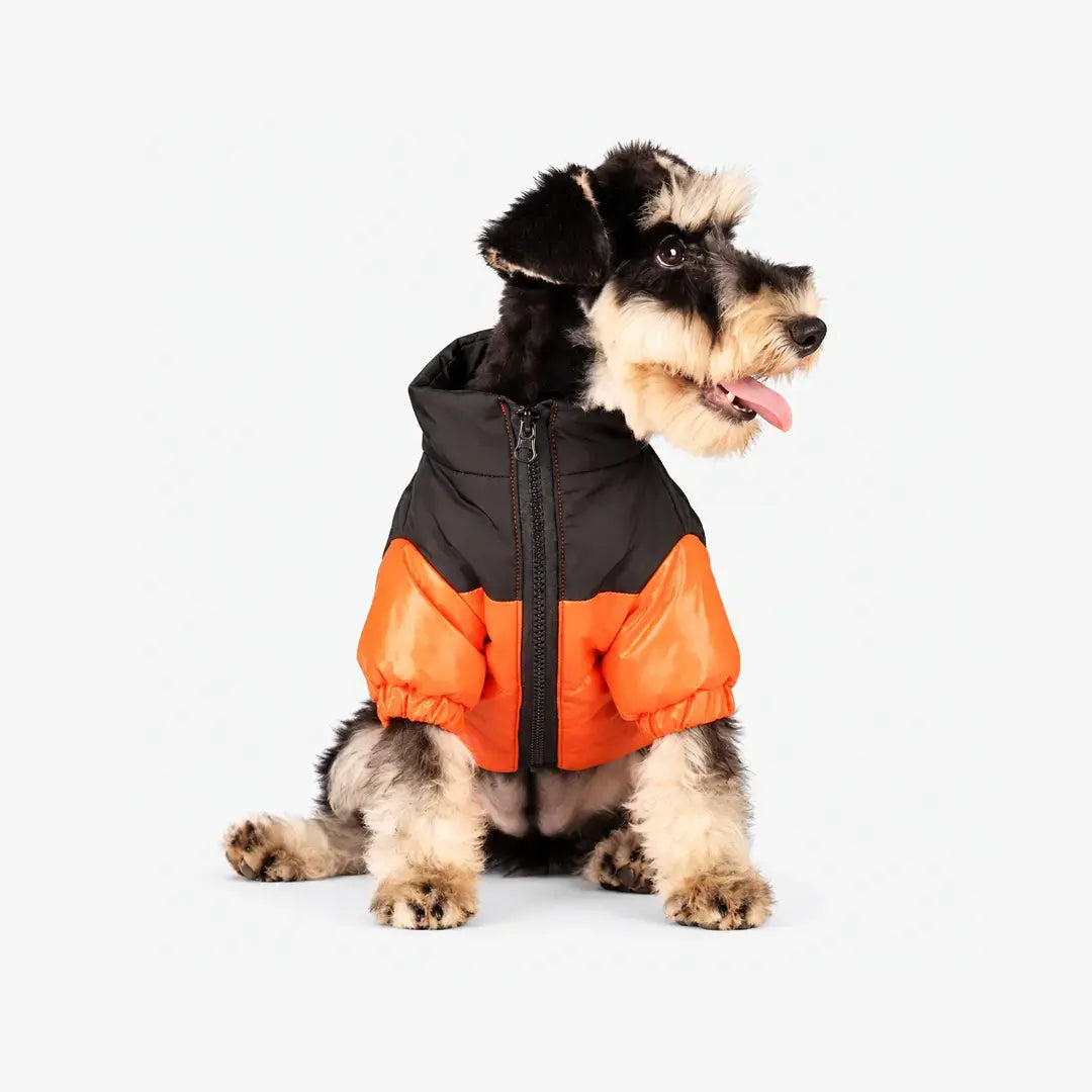 Reflective Dog Coats for Winter - Warm Windproof Jacket for Chihuahua & French Bulldog