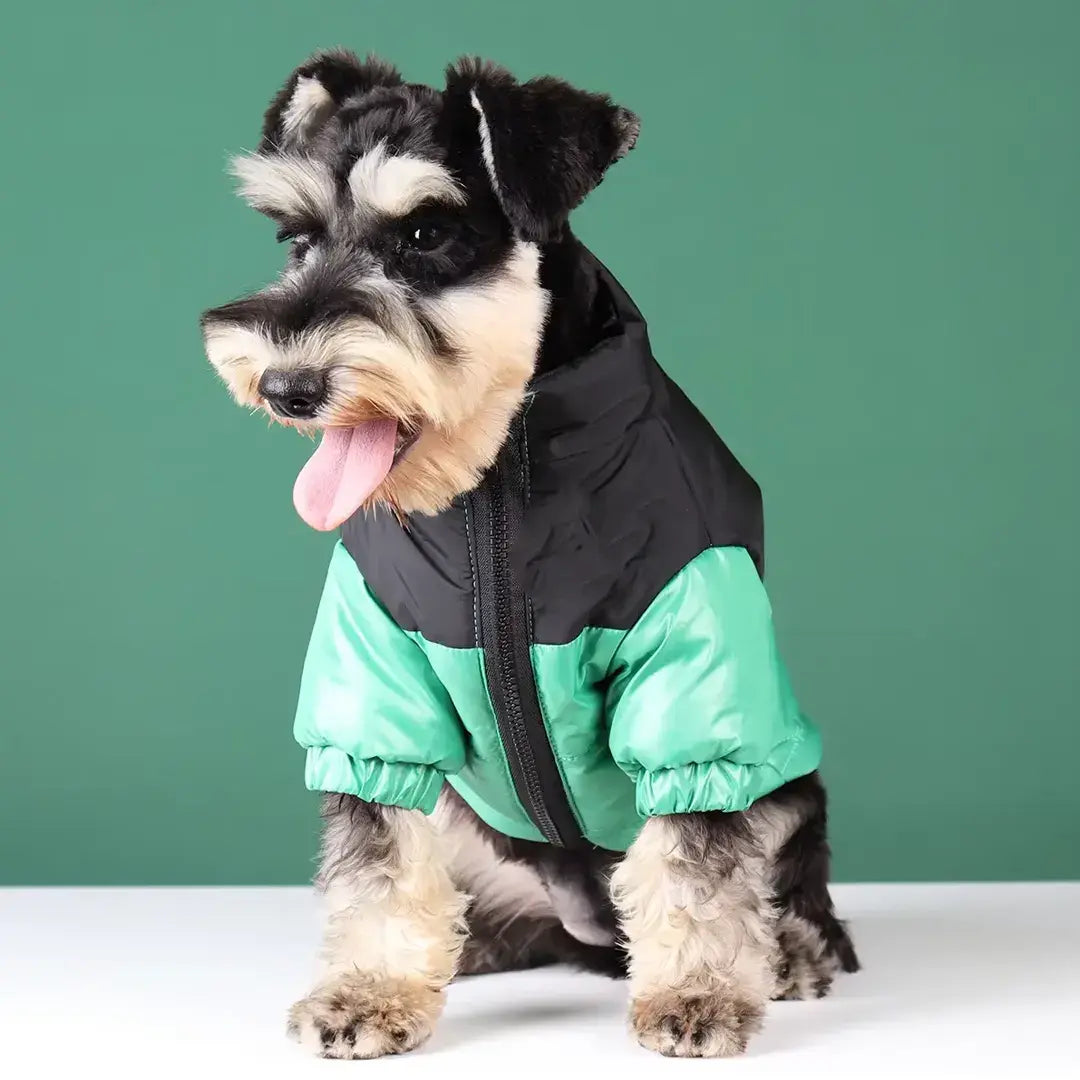 Reflective Dog Coats for Winter - Warm Windproof Jacket for Chihuahua & French Bulldog