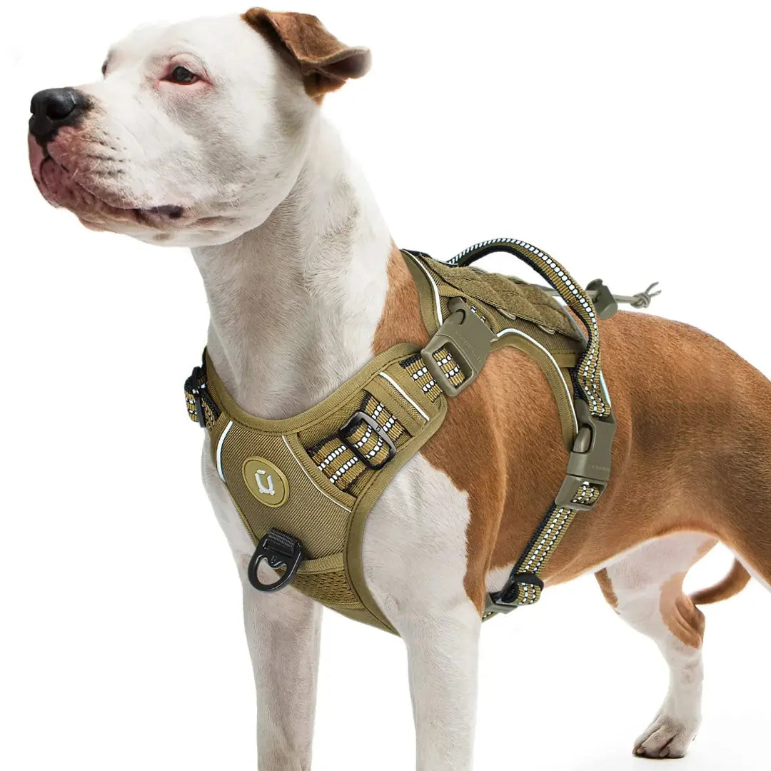 Reflective MOLLE Tactical Dog Harness for Medium & Large Dogs, Adjustable No Pull Vest