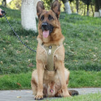 Reflective Padded Dog Harness with Adjustable Fit, Quick Release