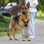 Reflective Padded Dog Harness with Adjustable Fit, Quick Release