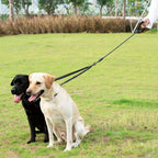 Reflective Twin-Walker Dog Leash with Tangle-Free Coupler for Two Dogs