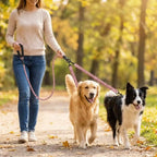 Reflective Twin-Walker Dog Leash with Tangle-Free Coupler for Two Dogs
