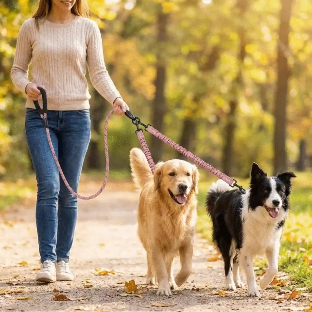 Reflective Twin-Walker Dog Leash with Tangle-Free Coupler for Two Dogs