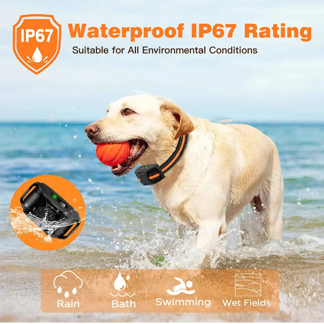 Remote 3608FT Electric Dog Training Collar, Waterproof, 1-2 Dogs