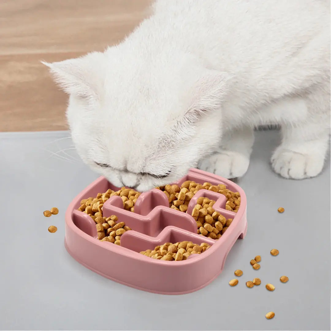 Slow Feeder Bowl for Small & Medium Dogs & Cats, 20oz Plastic