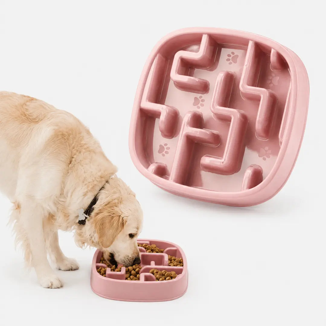 Slow Feeder Bowl for Small & Medium Dogs & Cats, 20oz Plastic