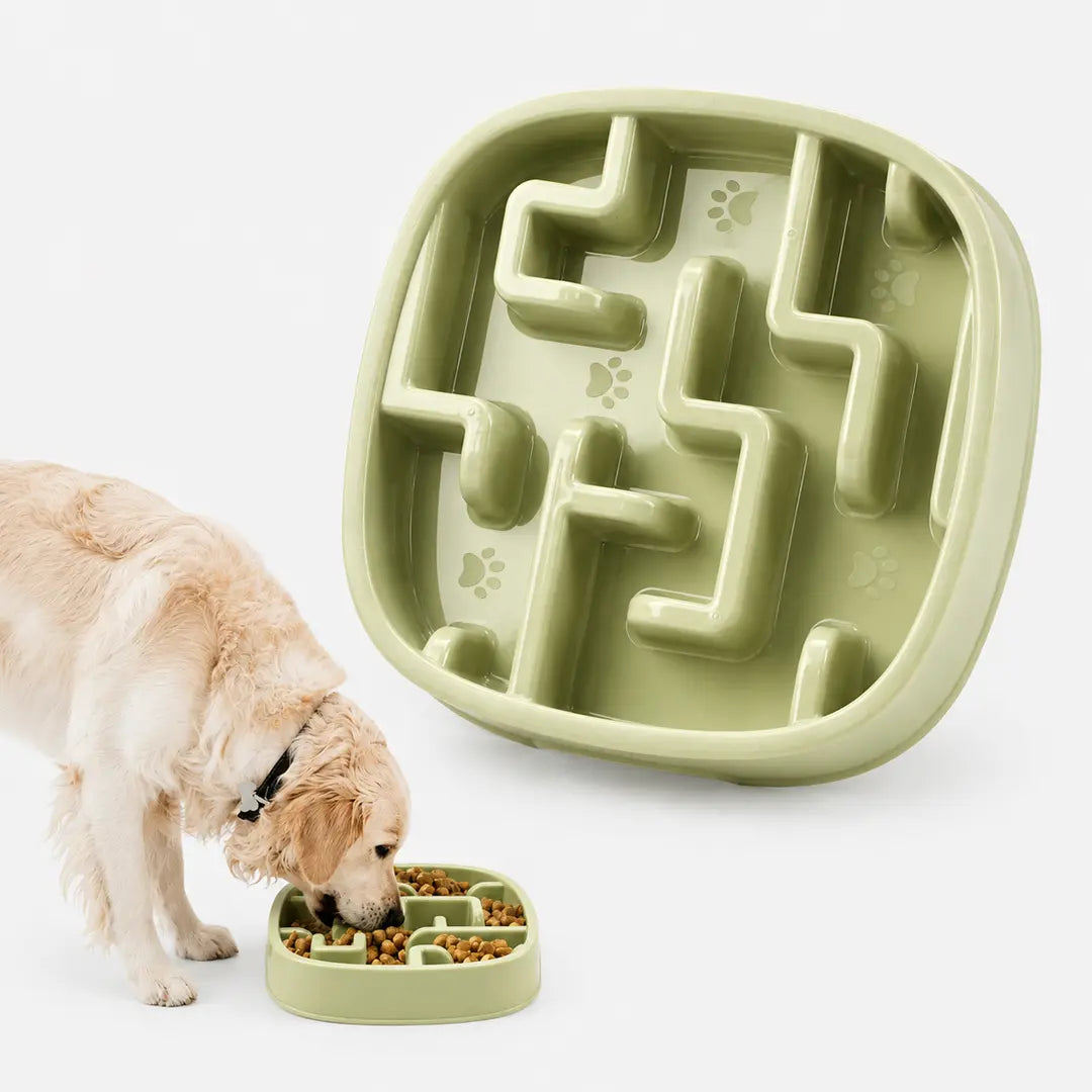Slow Feeder Bowl for Small & Medium Dogs & Cats, 20oz Plastic