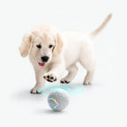 Smart Dog Toy Ball - Electronic Interactive Rolling Pet Toy with RGB Lights