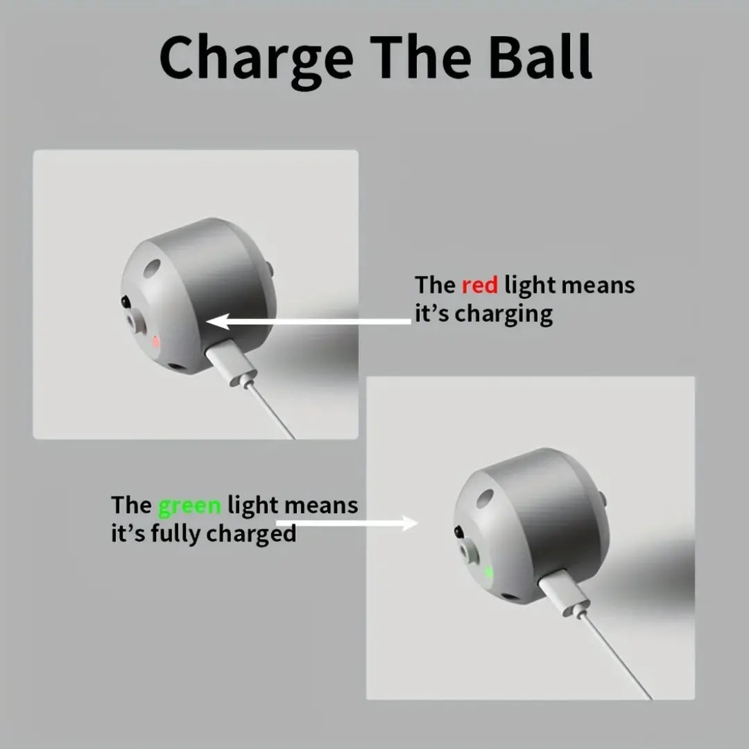 Smart Dog Toy Ball - Electronic Interactive Rolling Pet Toy with RGB Lights
