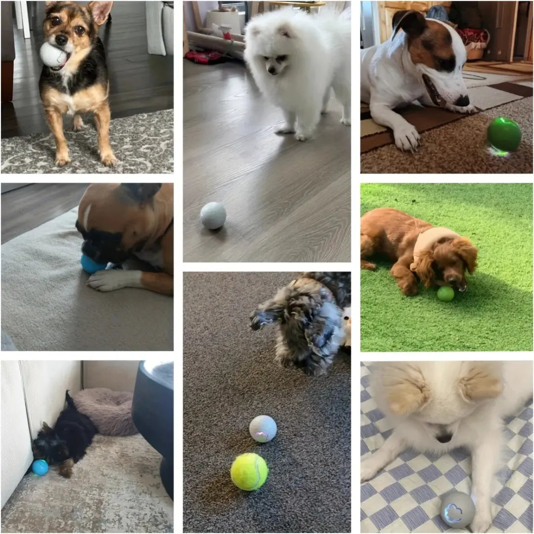 Smart Dog Toy Ball - Electronic Interactive Rolling Pet Toy with RGB Lights