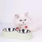 Stainless Steel Pet Bowl Set for Dogs & Cats, Double Feeding Station