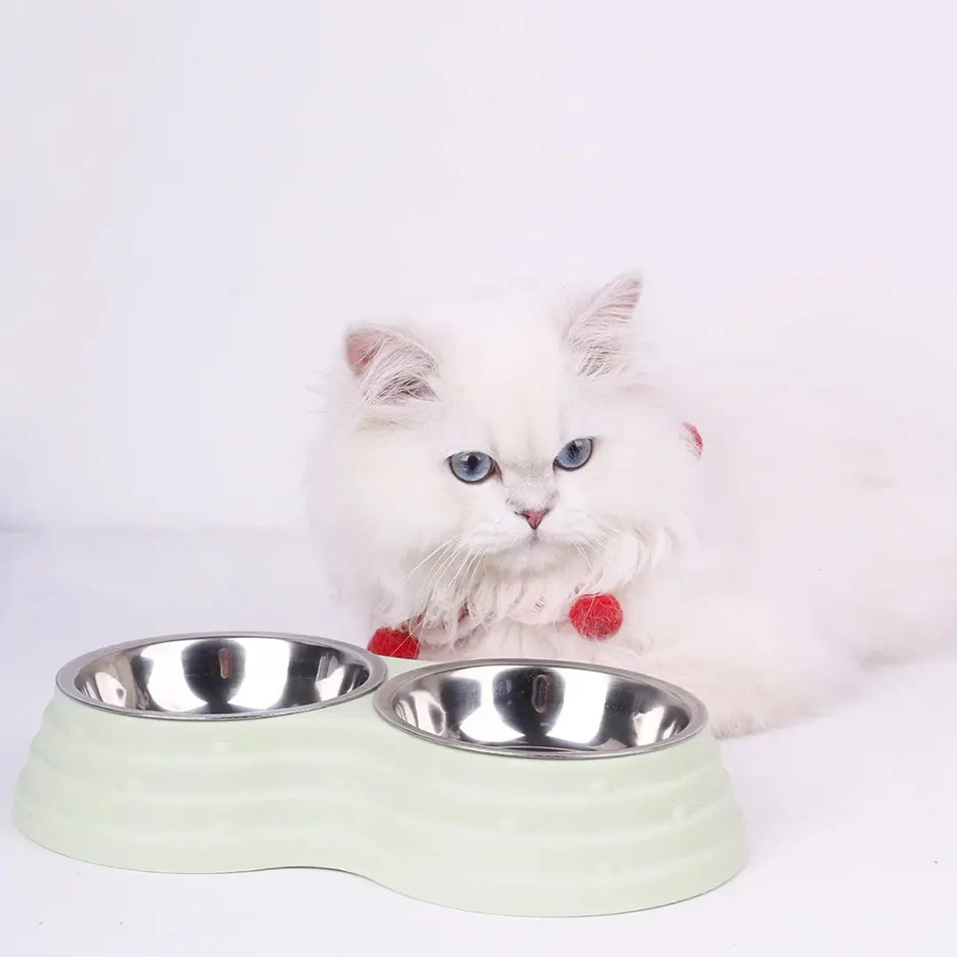 Stainless Steel Pet Bowl Set for Dogs & Cats, Double Feeding Station