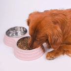Stainless Steel Pet Bowl Set for Dogs & Cats, Double Feeding Station