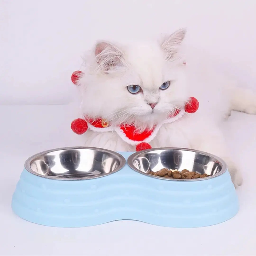 Stainless Steel Pet Bowl Set for Dogs & Cats, Double Feeding Station