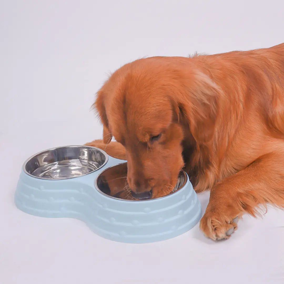 Stainless Steel Pet Bowl Set for Dogs & Cats, Double Feeding Station