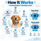 Tailvara Dog Barking Training Collar with Beep & Vibration