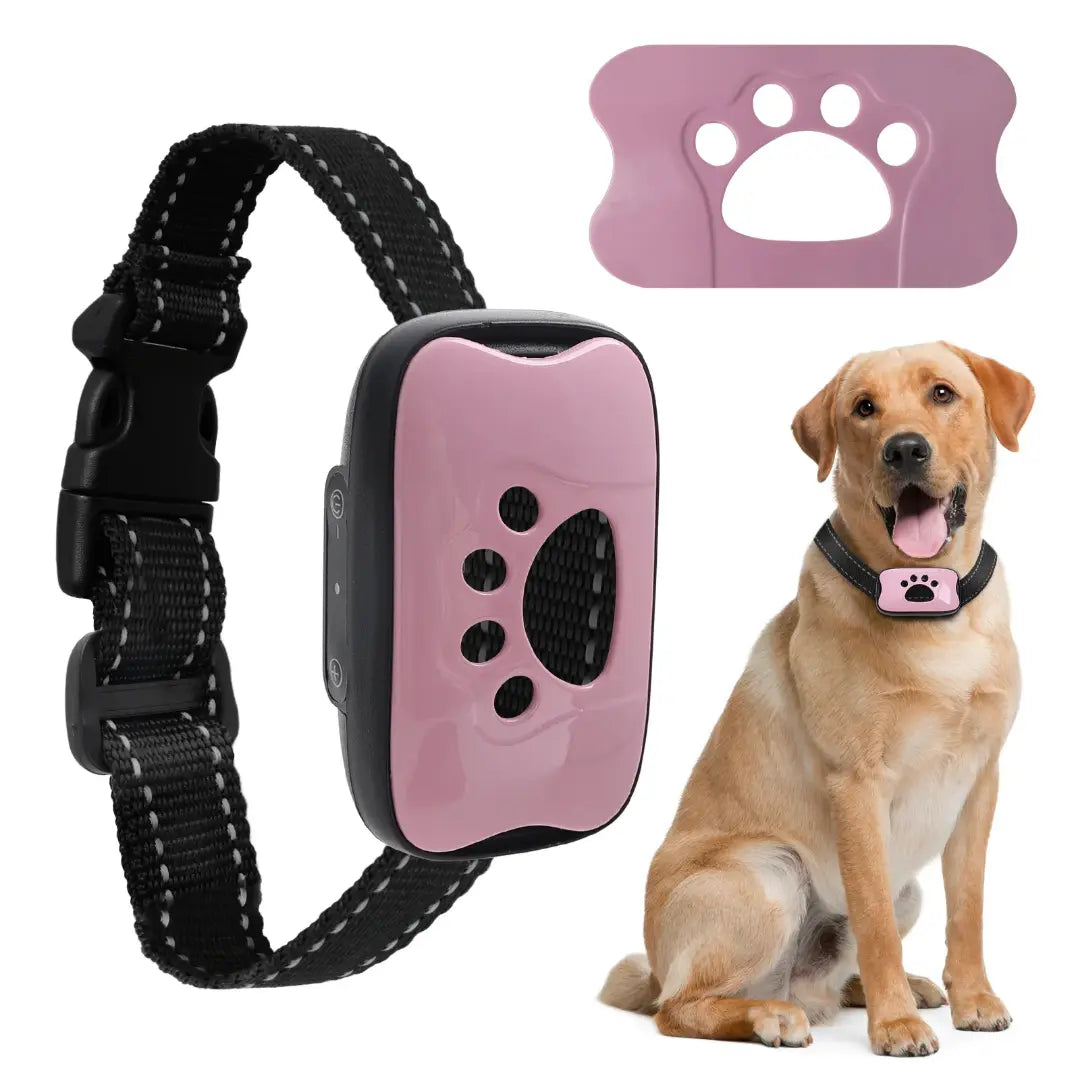 Tailvara Dog Barking Training Collar with Beep & Vibration