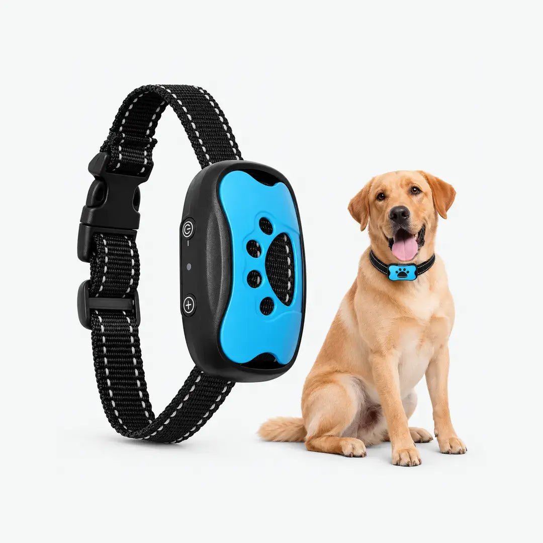 Tailvara Dog Barking Training Collar with Beep & Vibration
