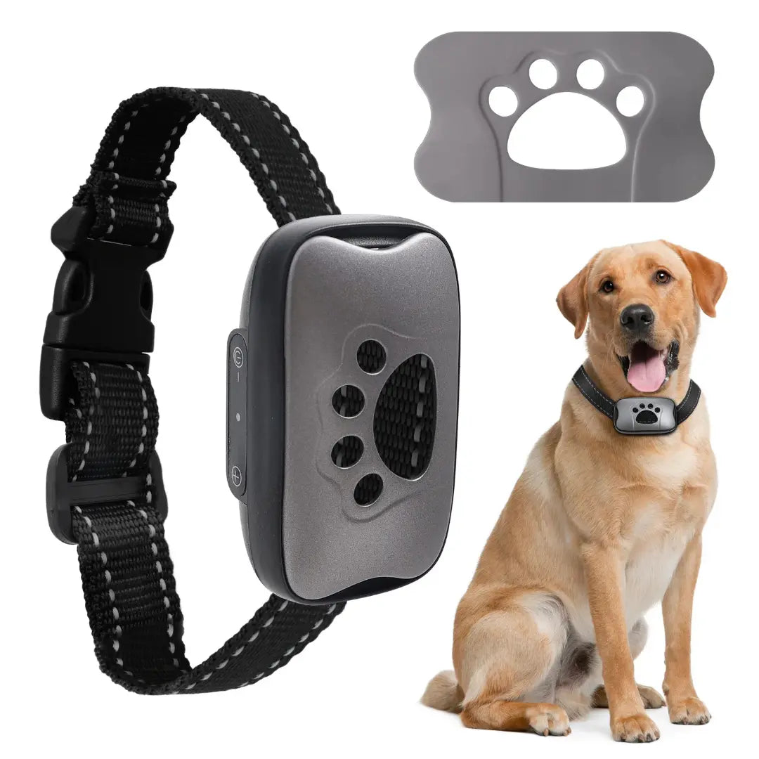 Tailvara Dog Barking Training Collar with Beep & Vibration