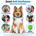 Tailvara Dog Barking Training Collar with Beep & Vibration