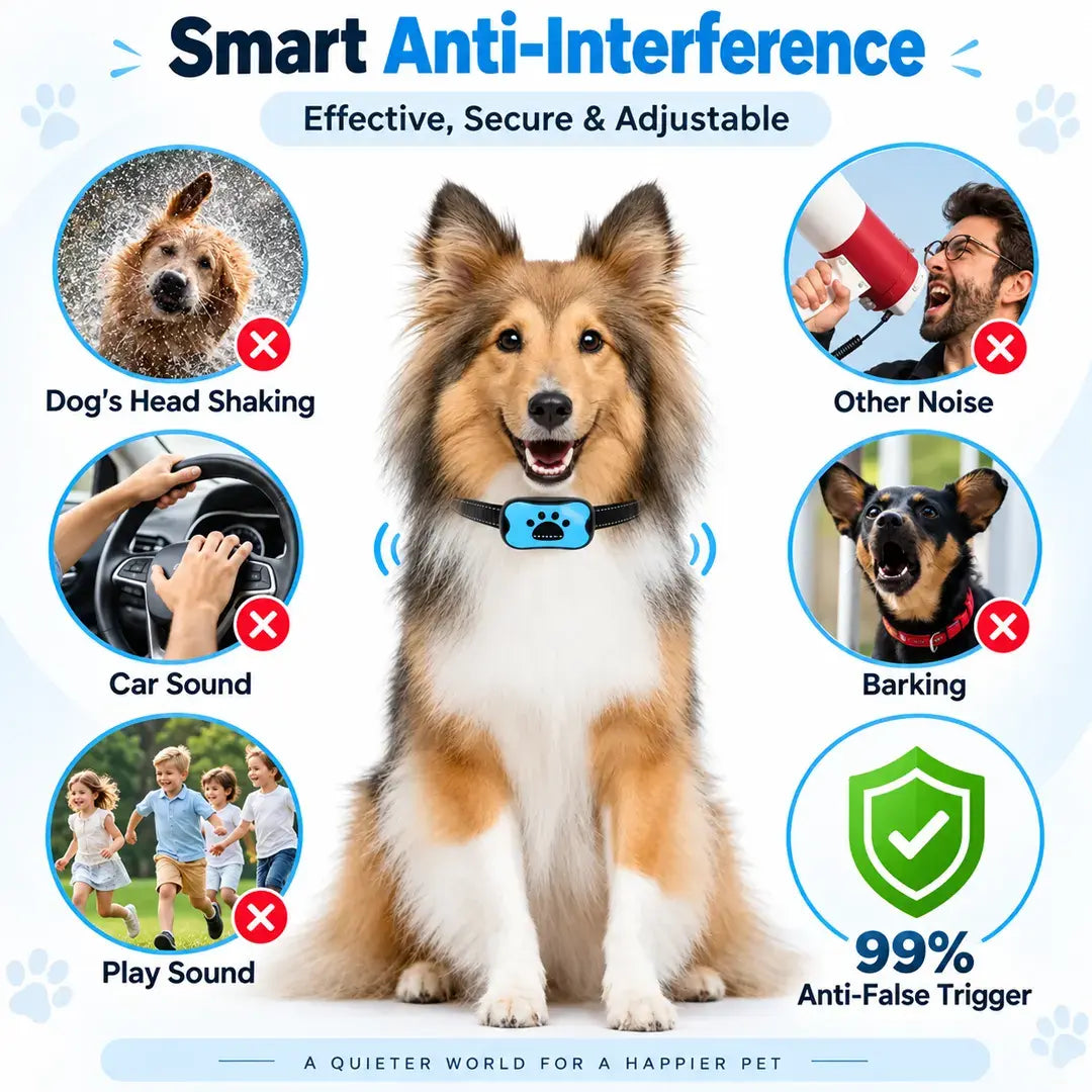 Tailvara Dog Barking Training Collar with Beep & Vibration
