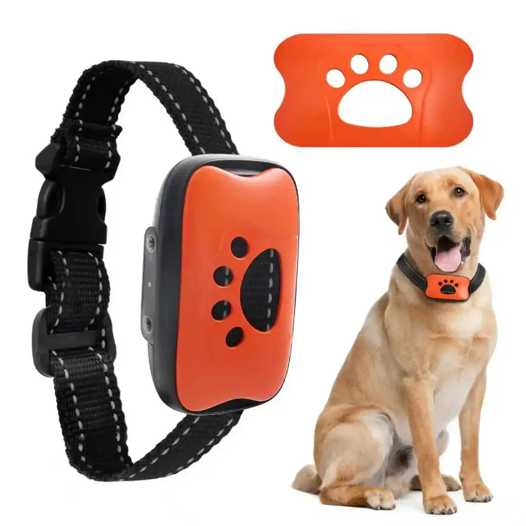Tailvara Dog Barking Training Collar with Beep & Vibration