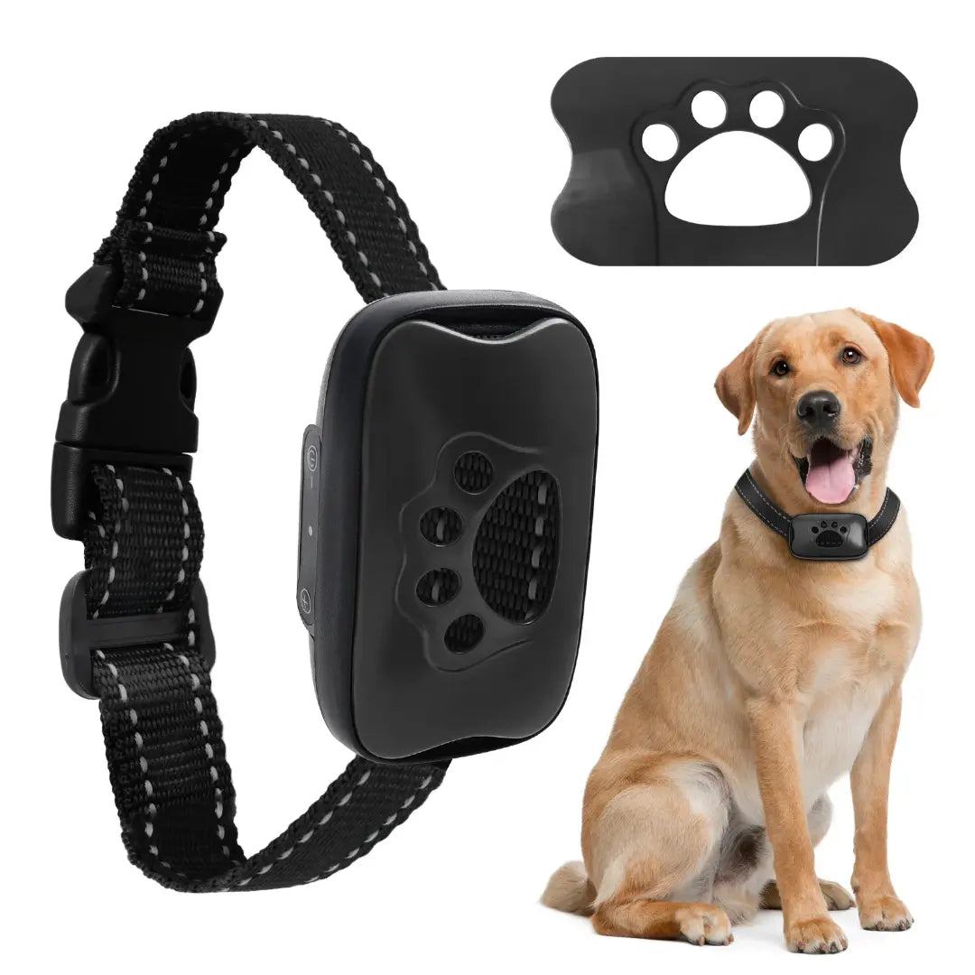 Tailvara Dog Barking Training Collar with Beep & Vibration