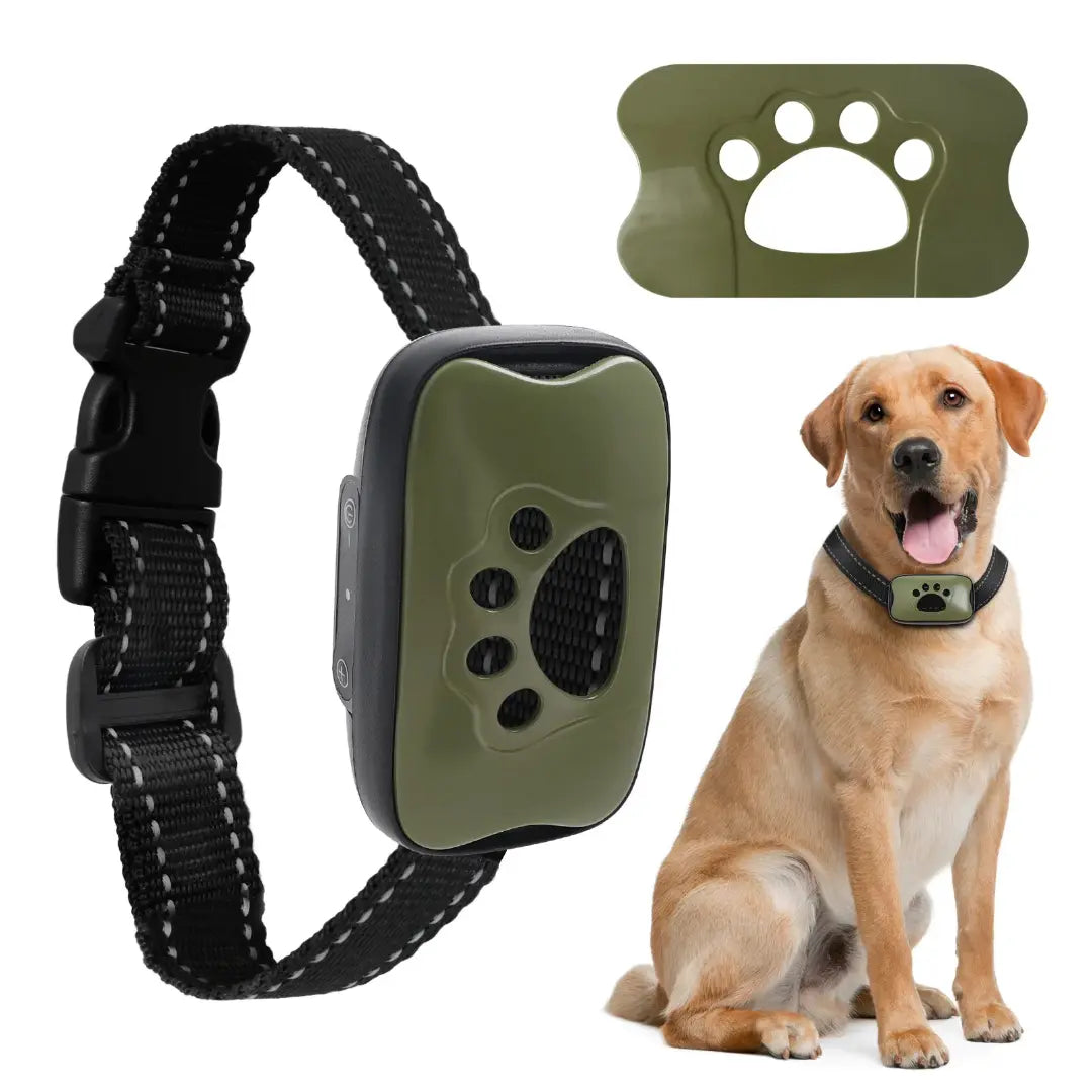 Tailvara Dog Barking Training Collar with Beep & Vibration
