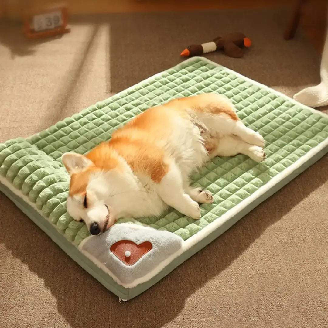 Tailvara Dog Mat for Small & Medium Dogs & Cats, Warm Washable Pet Bed