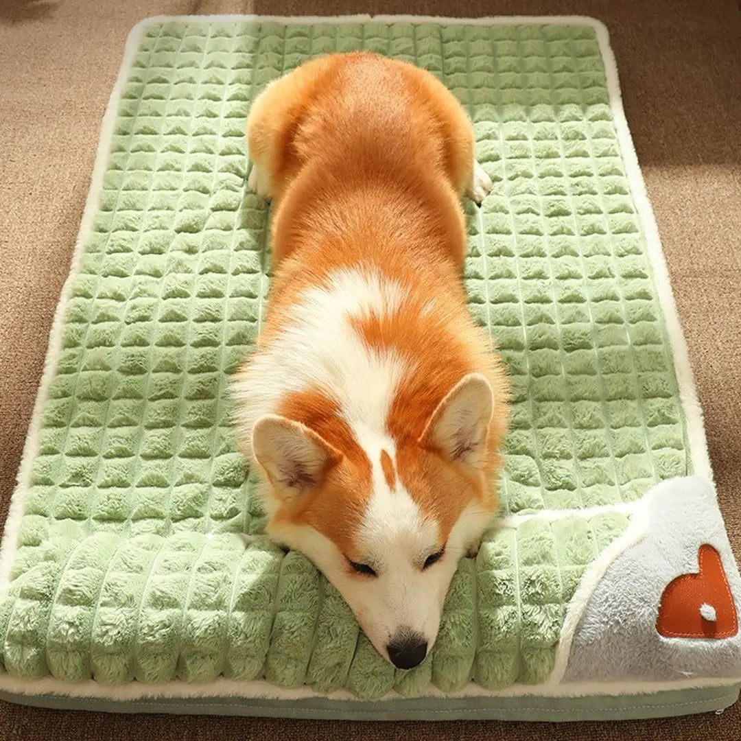 Tailvara Dog Mat for Small & Medium Dogs & Cats, Warm Washable Pet Bed
