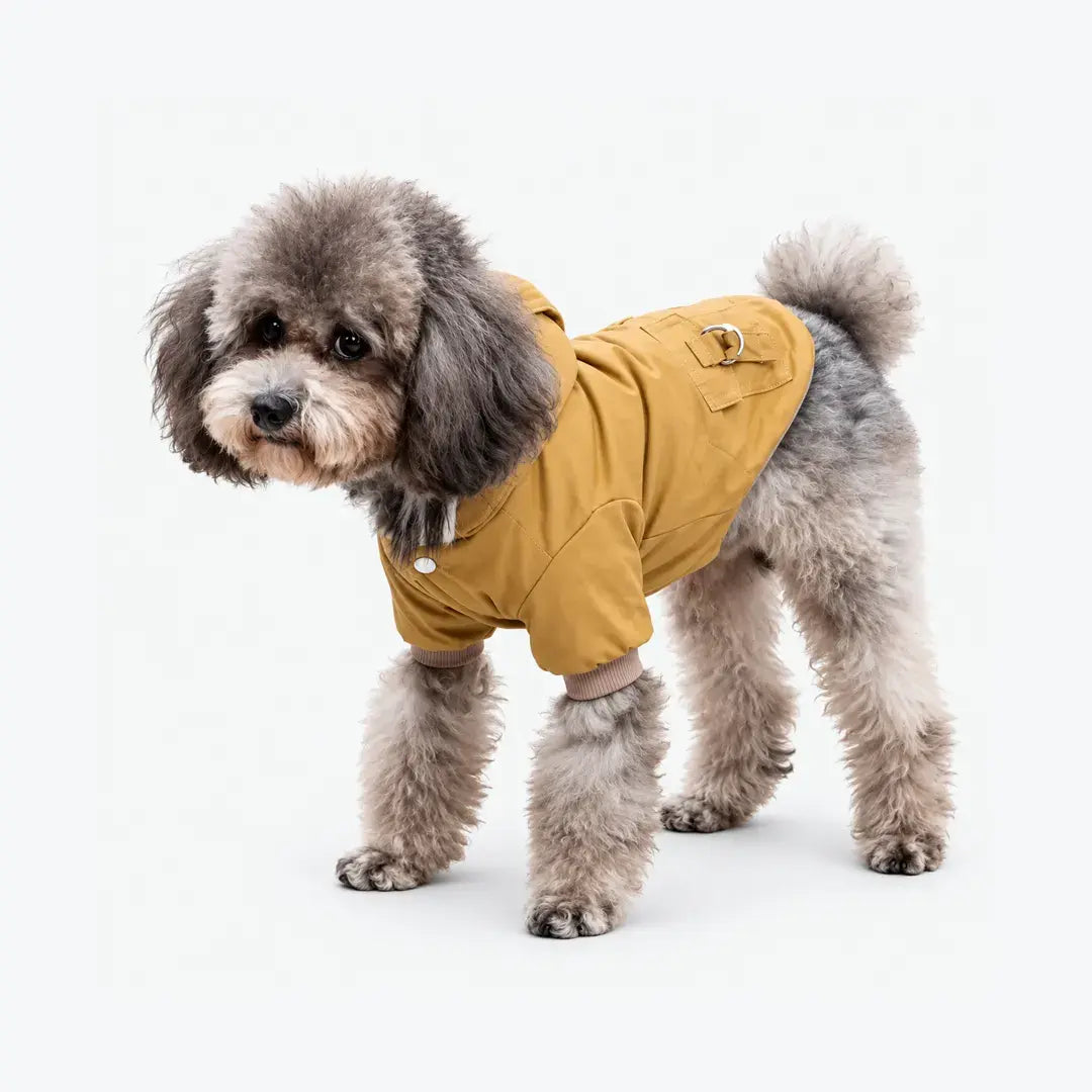 Tailvara Dog Winter Coat with Hood - Warm Lightweight Jacket