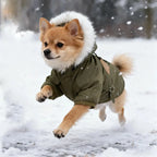 Tailvara Dog Winter Coat with Hood - Warm Lightweight Jacket