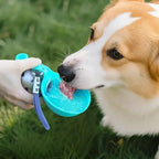 Travel Hydration Portable Dog Water Bottle with Fold-Out Drinking Bowl