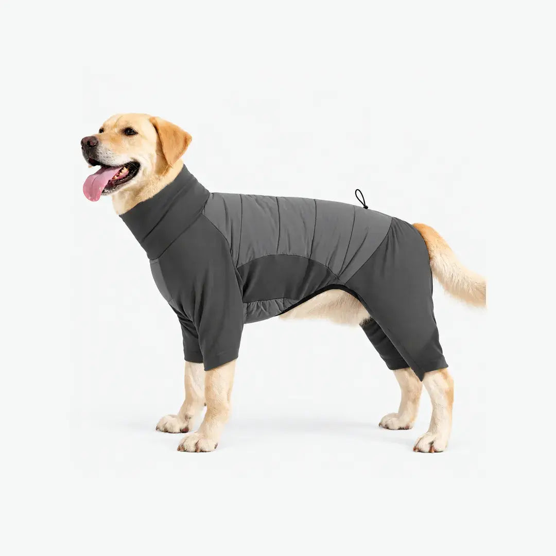 Turtleneck Fullbody Dog Coat with Four-Leg Coverage & Leash Opening