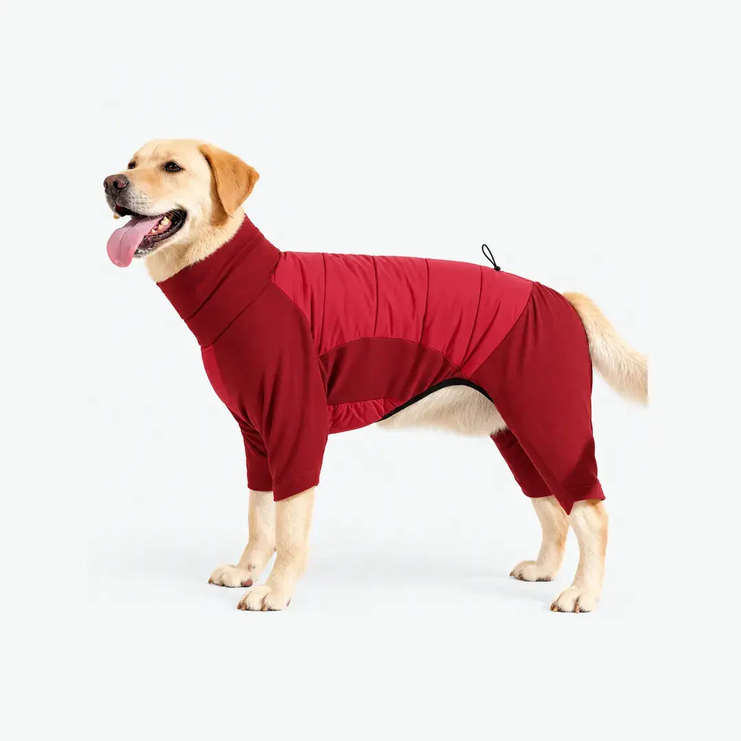 Turtleneck Fullbody Dog Coat with Four-Leg Coverage & Leash Opening