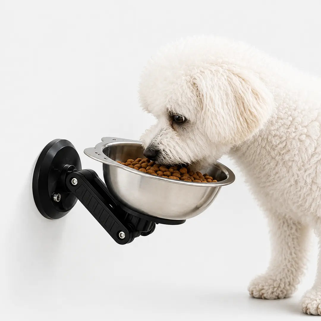 Wall Mounted Pet Bowl for Cats & Small Dogs, Adjustable Stainless Steel