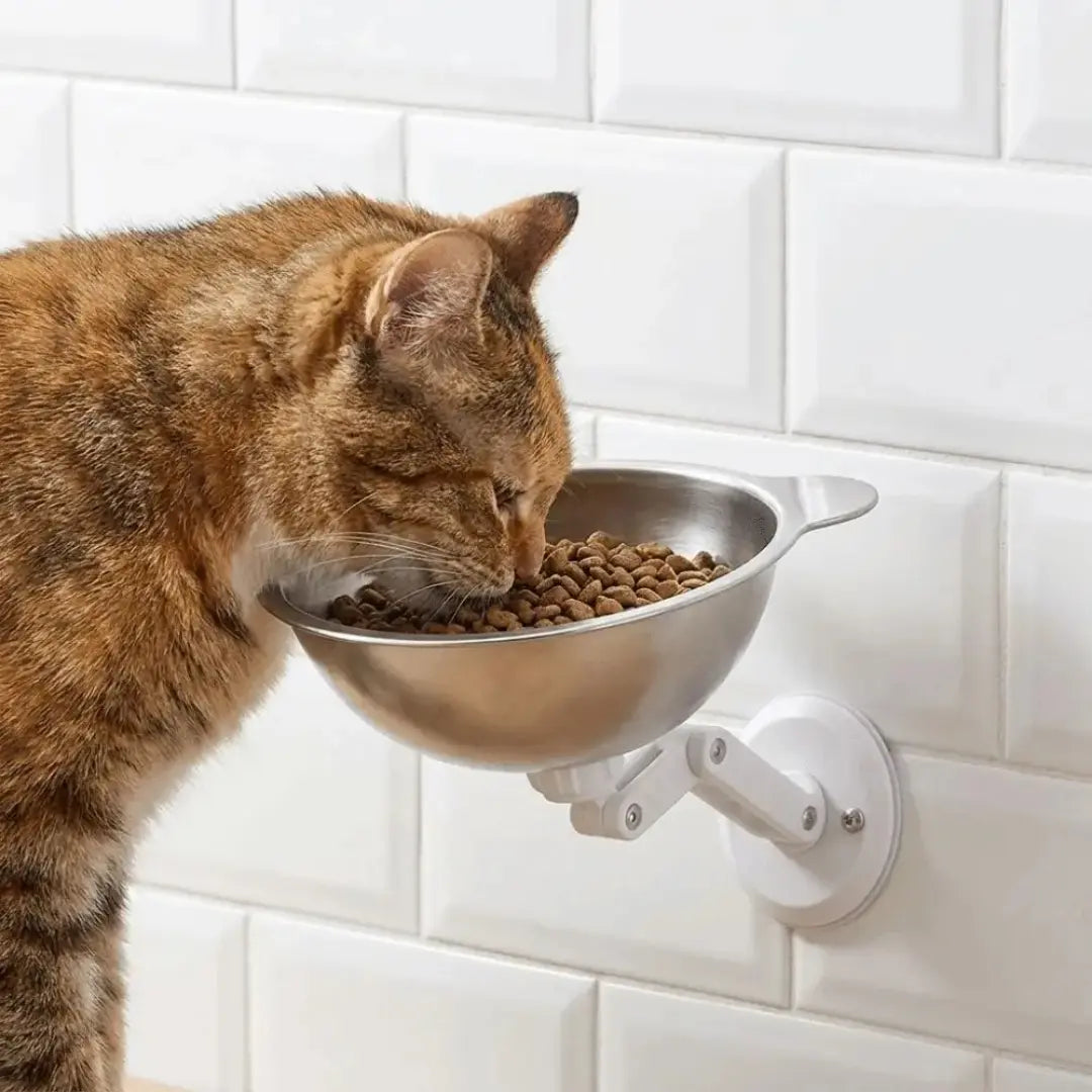 Wall Mounted Pet Bowl for Cats & Small Dogs, Adjustable Stainless Steel
