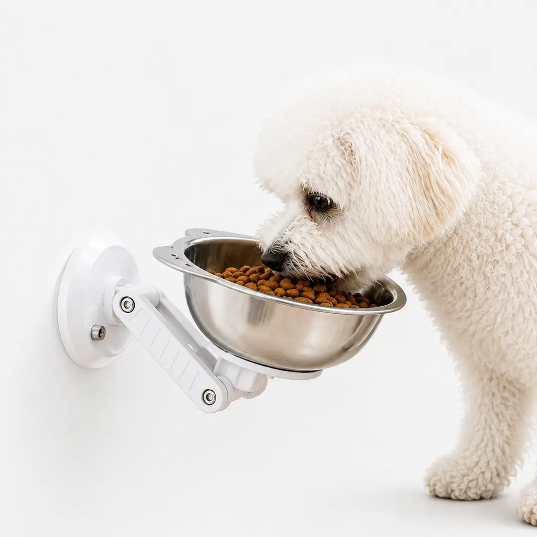 Wall Mounted Pet Bowl for Cats & Small Dogs, Adjustable Stainless Steel
