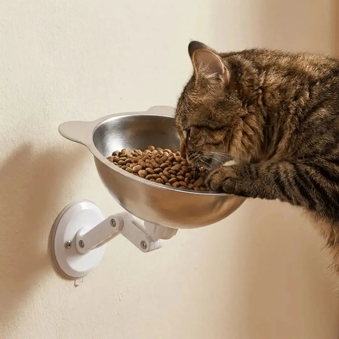 Wall Mounted Pet Bowl for Cats & Small Dogs, Adjustable Stainless Steel