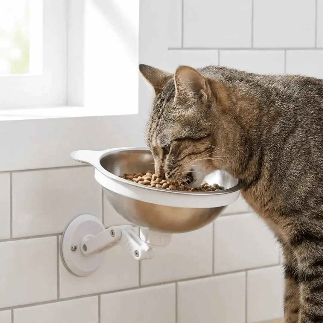 Wall Mounted Pet Bowl for Cats & Small Dogs, Adjustable Stainless Steel