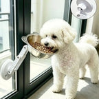 Wall Mounted Pet Bowl for Cats & Small Dogs, Adjustable Stainless Steel