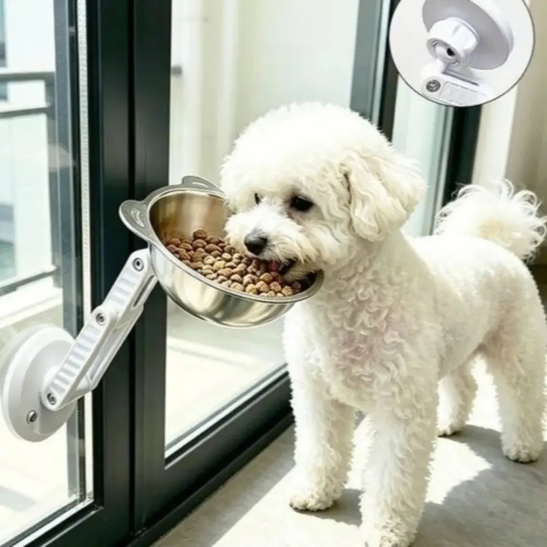 Wall Mounted Pet Bowl for Cats & Small Dogs, Adjustable Stainless Steel