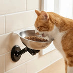 Wall Mounted Pet Bowl for Cats & Small Dogs, Adjustable Stainless Steel