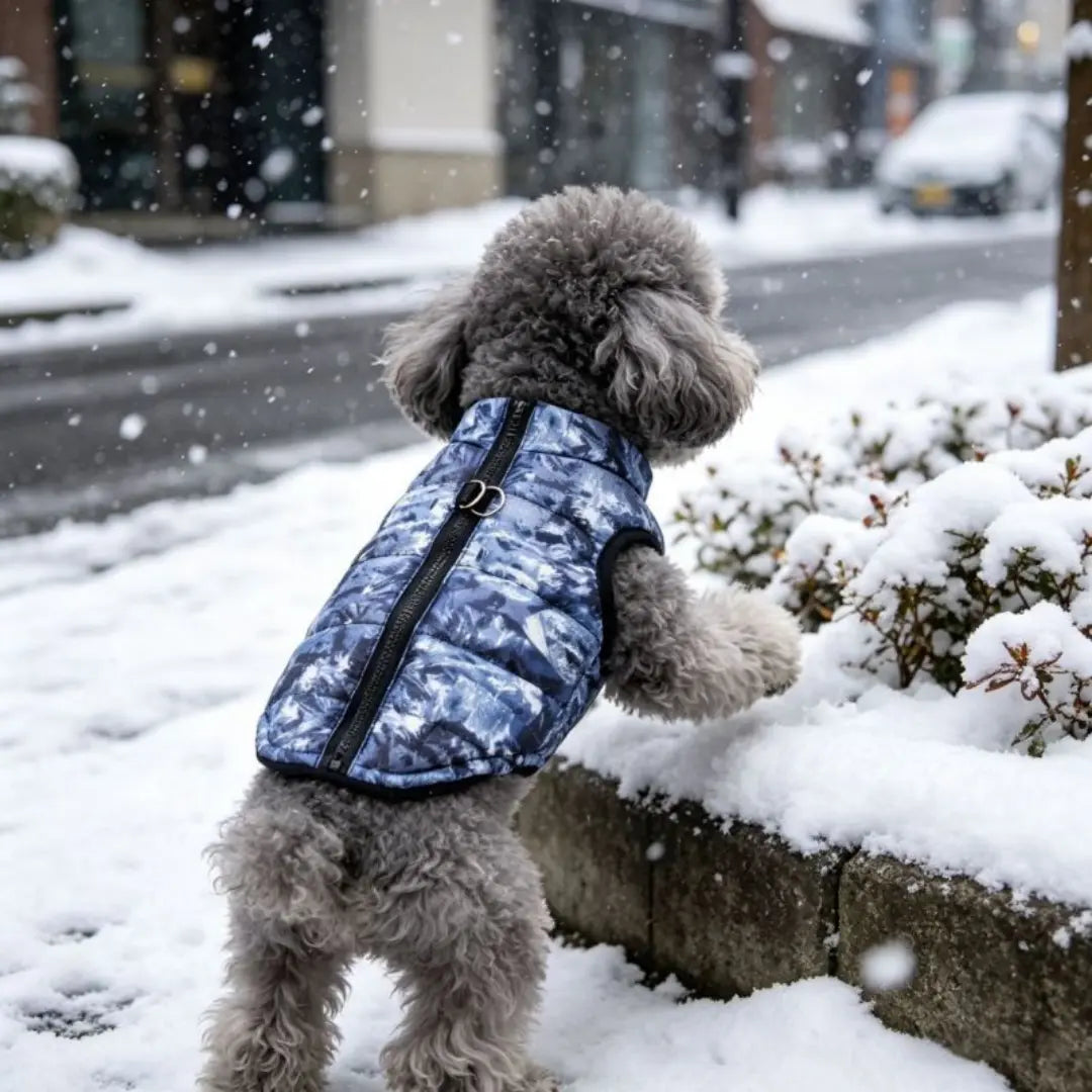 Warm Dog Coats for Small Dogs - Chihuahua, French Bulldog & Puppy Winter Vest