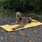 Waterproof Dog Blanket for Travel, Foldable Camping, 95 × 65 cm