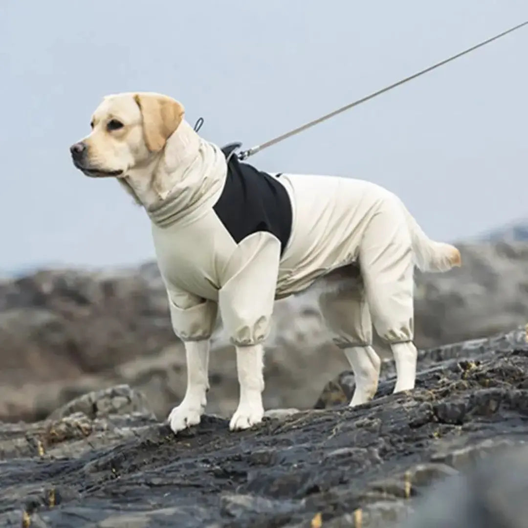 Waterproof Dog Coat for Large Dogs, Full-Body Rain Suit